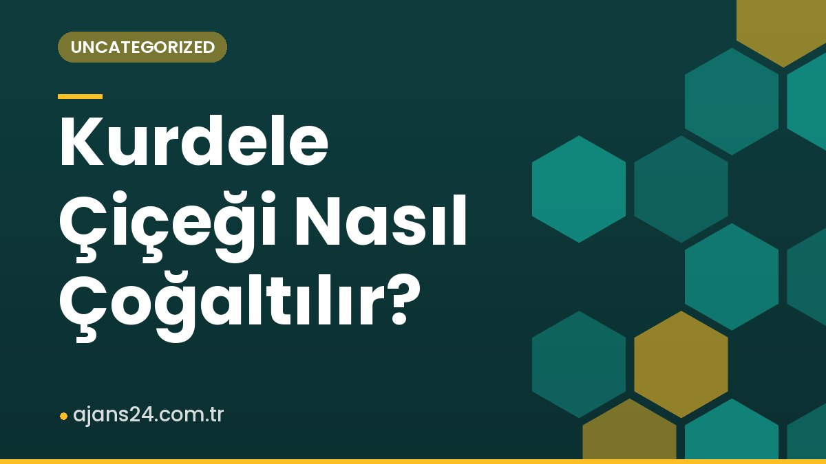 Kurdele Çiçeği Nasıl Çoğaltılır?