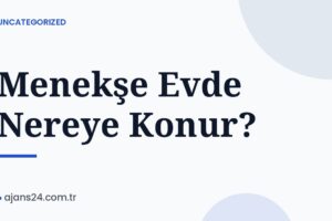 Menekşe Evde Nereye Konur?