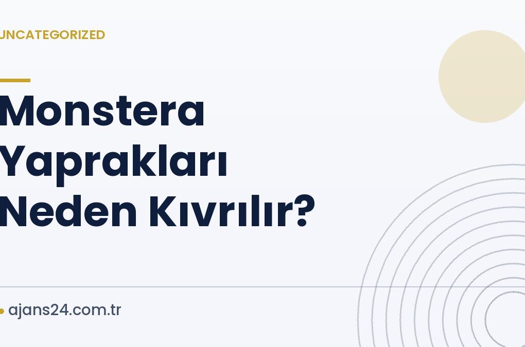 Monstera Yaprakları Neden Kıvrılır?