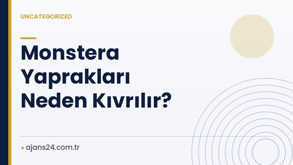 Monstera Yaprakları Neden Kıvrılır?