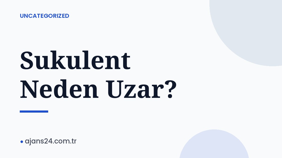 Sukulent Neden Uzar?